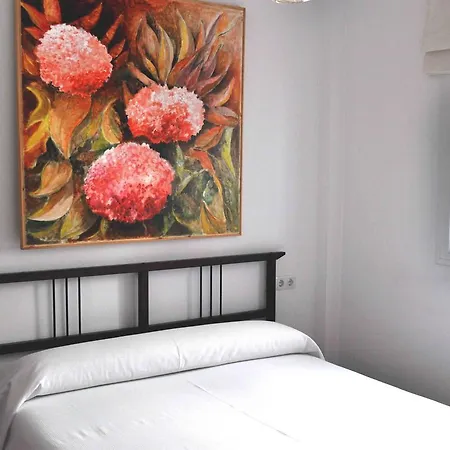 Apartment San Luis *